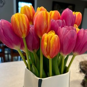 Meet your Posher, Sydney